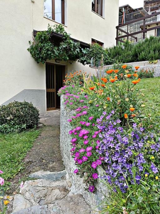 Brezza Di Lago Costa Volpino Kültér fotó